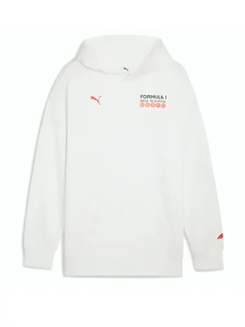 Formula-1-Drive-to-Survive-Graphic-Race-Hoodie1.webp