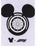 Disney-x-Formula-1-Pullover-Grey-Sweatshirt.jpg